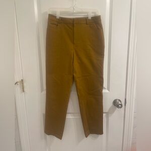 Brown Khaki Women Brown Pants